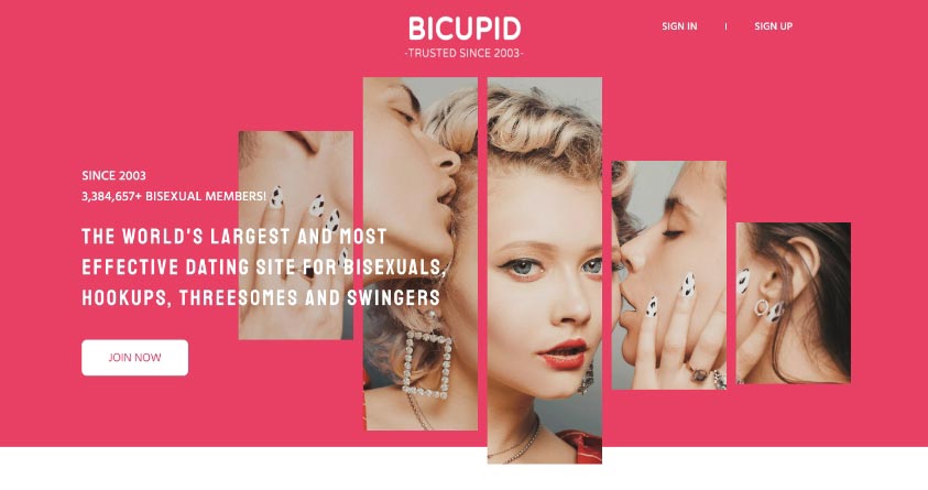 BiCupid dating site homepage
