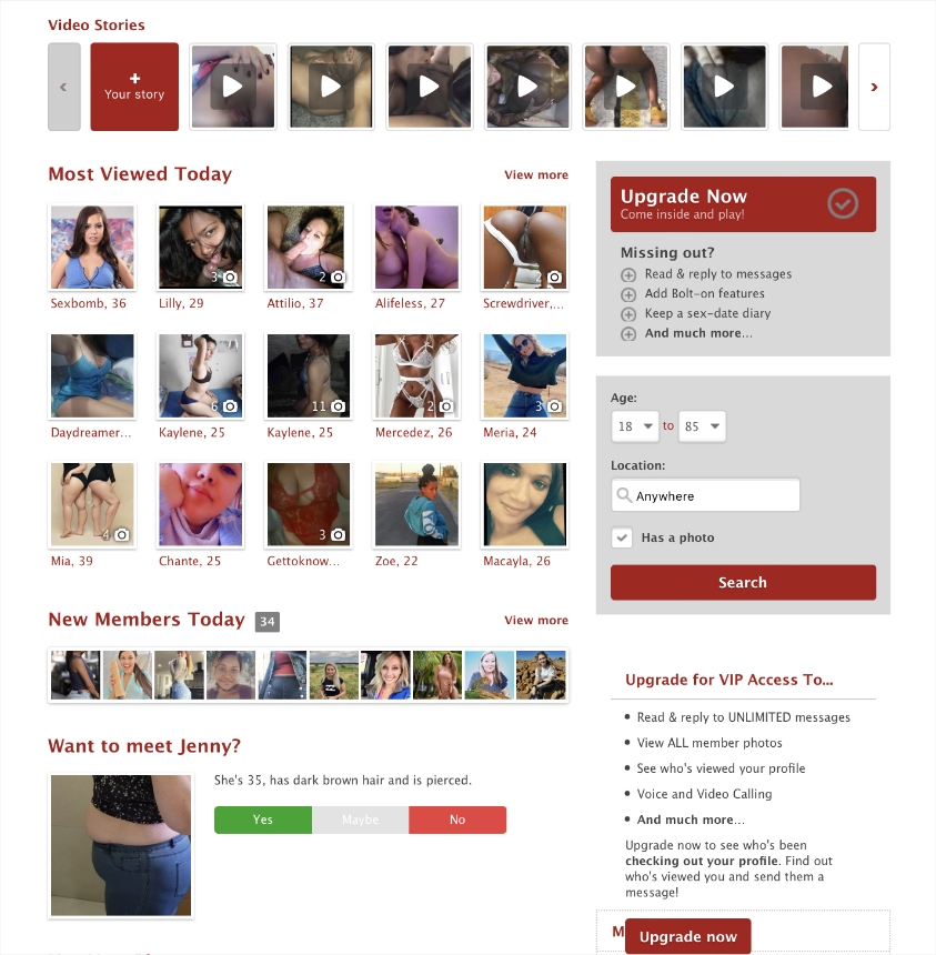 F-Buddy.co.uk dating site dashboard registration process.