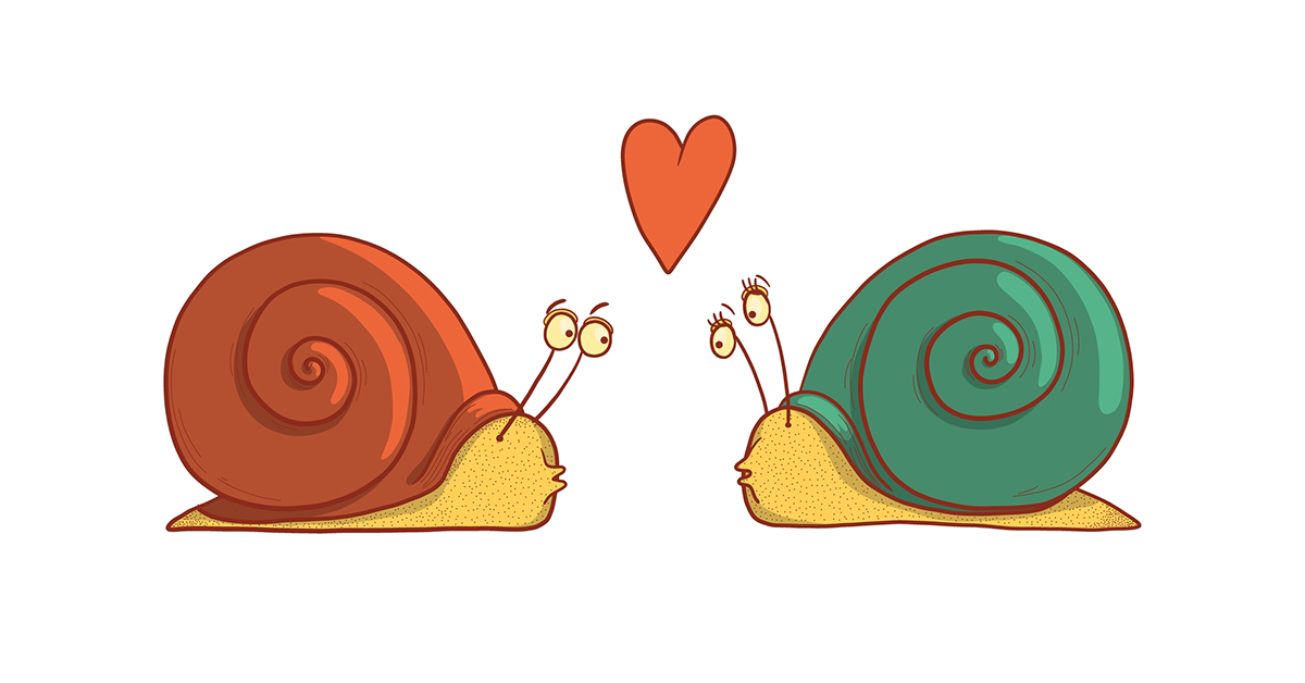 Two snails facing each other for a kiss with a heart above them
