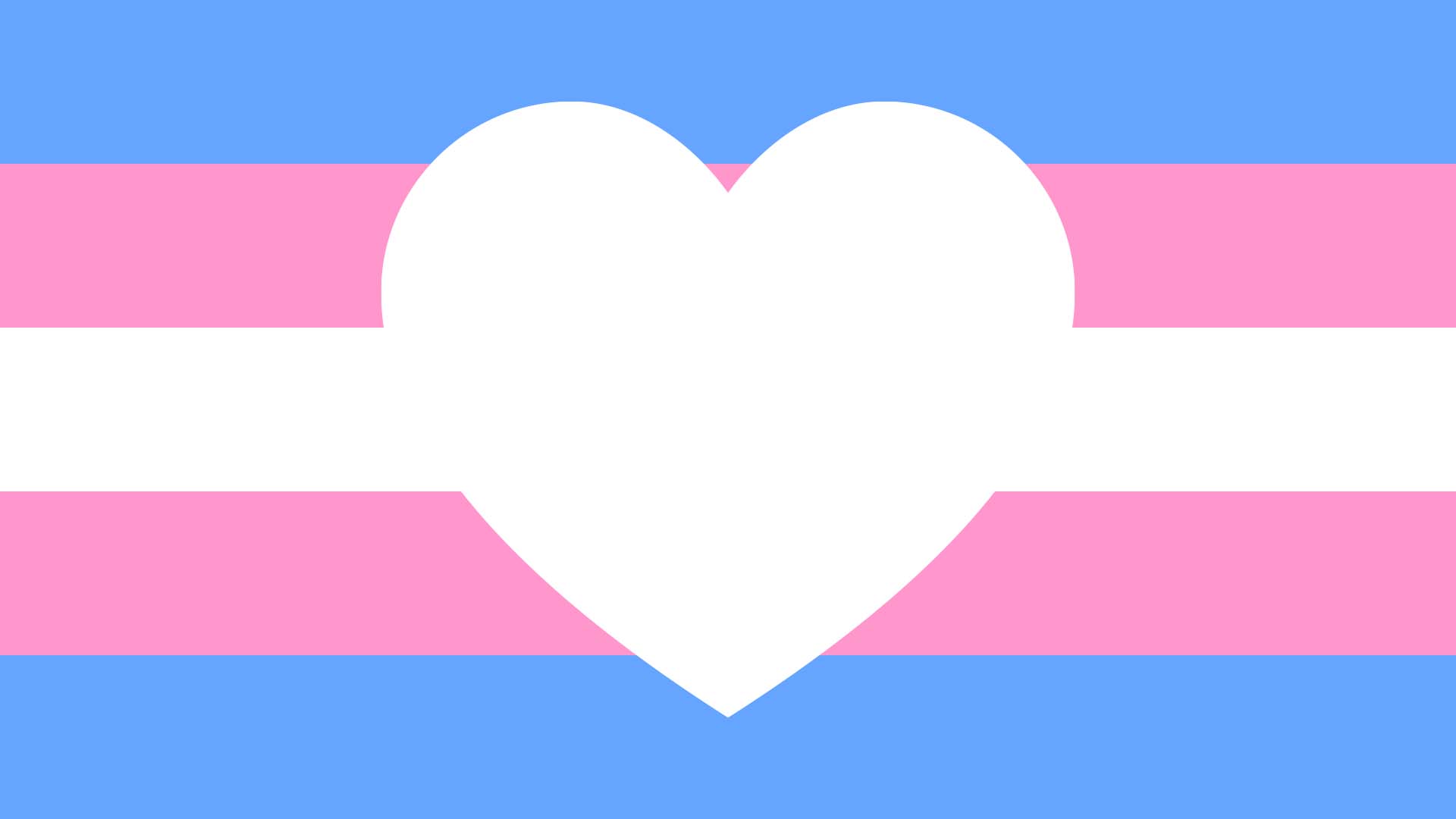 Transgender flag with two light blue horizontal likes, two light pink ones and one white. White love heart in the center.
