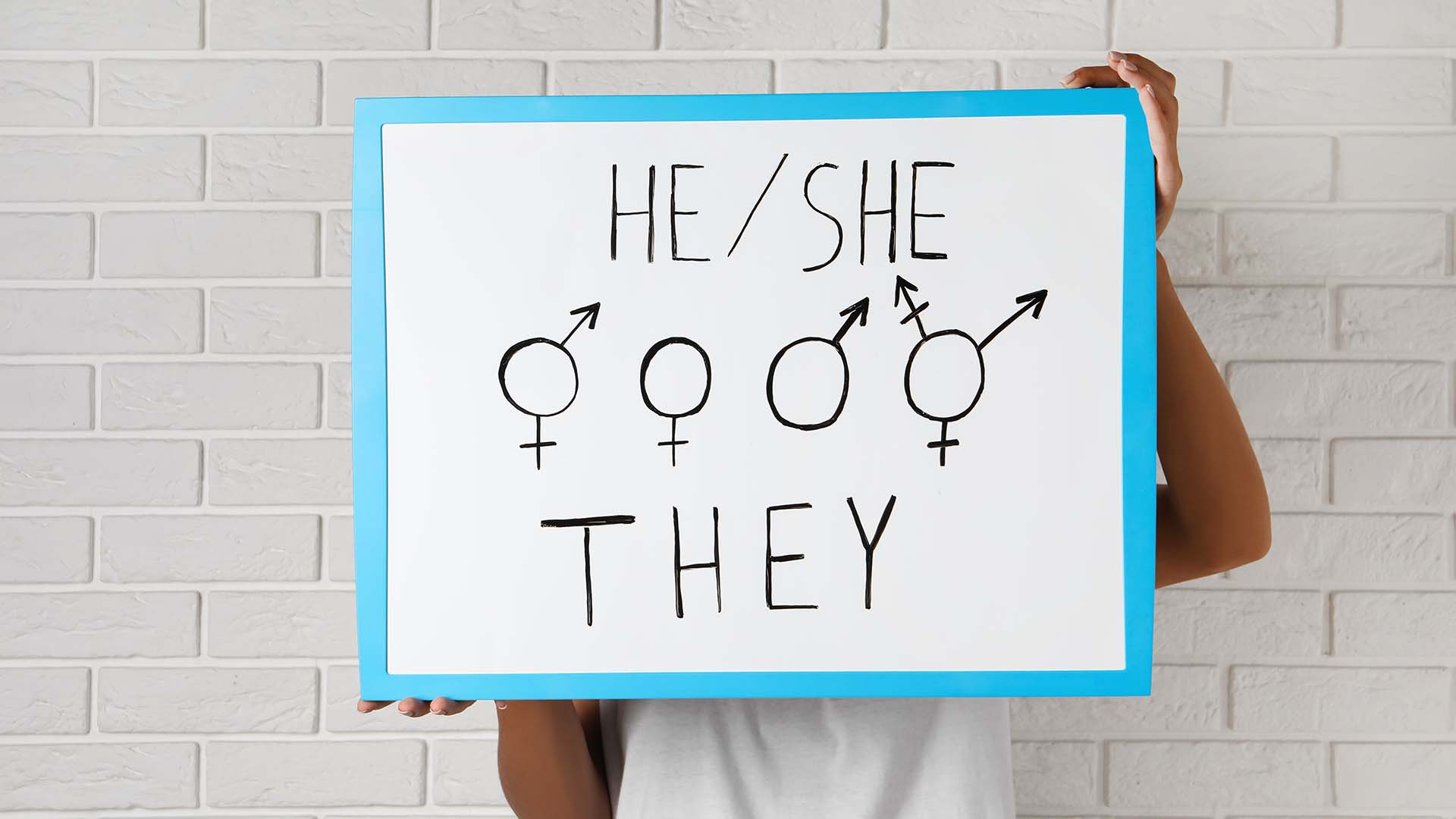 Person in white shirt in front of brick wall holding board showing gender symbols for male, female, trans and non binary.